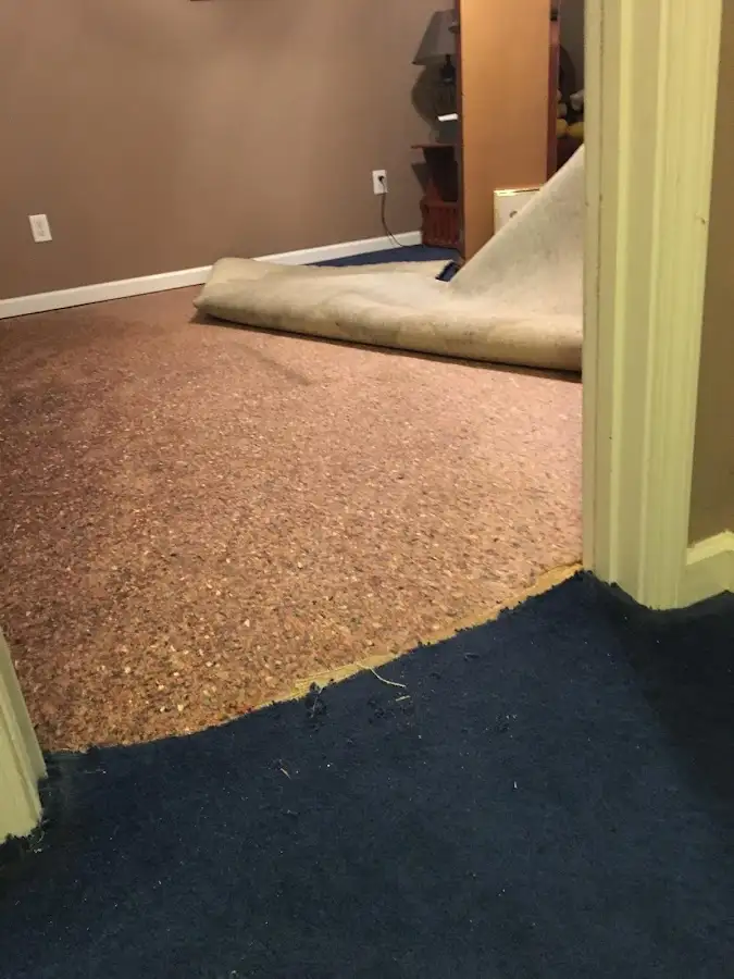 Carpet pad removal revealing water damage during Drying & Dehumidification in Kingstowne