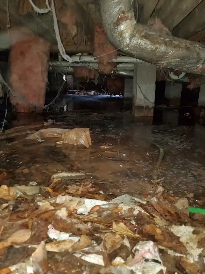Crawl space flood assessment for Leak Detection & Repair in Kingstowne