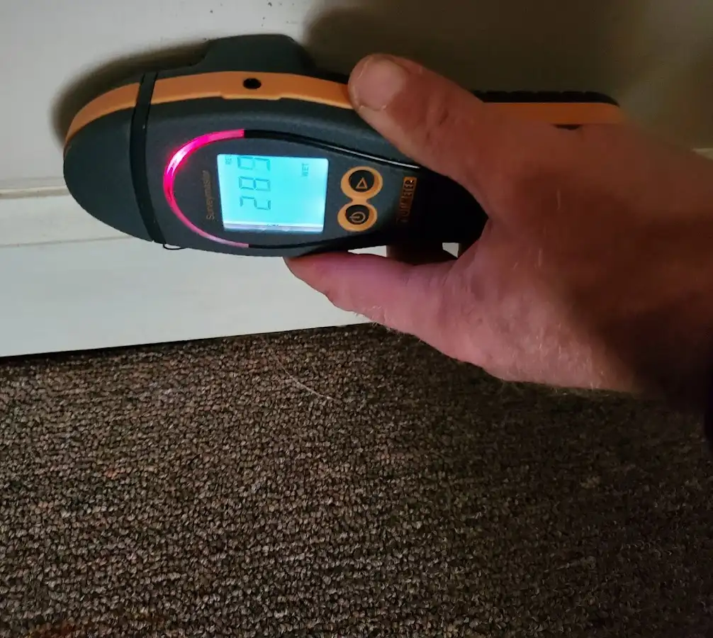 Moisture detection at baseboard during Sewage Cleanup & Sanitation in Kingstowne